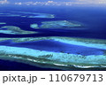 ニューカレドニアの珊瑚礁 ニューカレドニアの珊瑚礁 110679713
