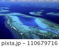 ニューカレドニアの珊瑚礁 ニューカレドニアの珊瑚礁 110679716