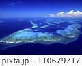 ニューカレドニアの珊瑚礁 ニューカレドニアの珊瑚礁 110679717