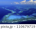 ニューカレドニアの珊瑚礁 ニューカレドニアの珊瑚礁 110679719