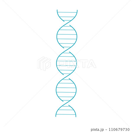 Simplified blue DNA double helix structure on white background. Biological or genetic theme vector illustration. 110679730