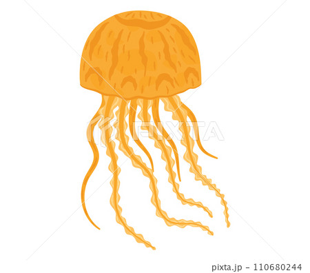 Orange jellyfish with long tentacles floating. Sea life cartoon and ocean theme vector illustration. Orange jellyfish with long tentacles floating. Sea life cartoon and ocean theme vector illustration. 110680244