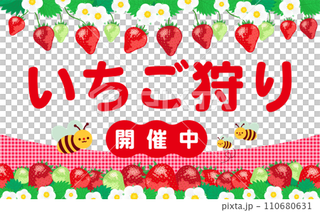 いちご狩りに最適ないちごやイチゴの花や苺の葉が描かれたコピースペースのある背景フレームの春素材 110680631