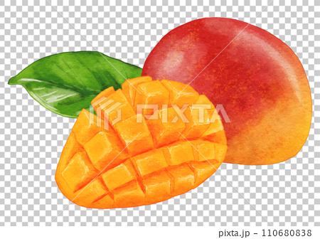 みずみずしいリアルなマンゴーのイラスト葉っぱ付き 110680838