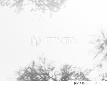 Shadow Effect Background Mockup Black Frame Reslistic Shade Gray Leaf Overlay Leaves Tree Tropic summer Plant Light White Floor Abstract Sunlight Backdrop Minimal Mockup 3d Bg Wall Nature Sun Scene. Shadow Effect Background Mockup Black Frame Reslistic Shade Gray Leaf Overlay Leaves Tree Tropic summer Plant Light White Floor Abstract Sunlight Backdrop Minimal Mockup 3d Bg Wall Nature Sun Scene. 110681330
