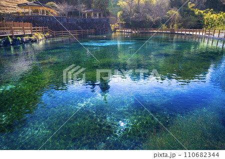 霧島山麓丸池湧水 110682344