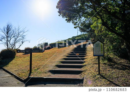 大野岳公園　茶寿階段 110682683