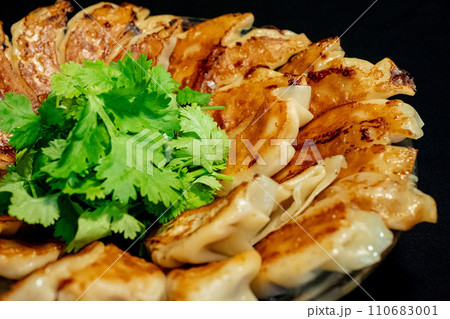 黒背景のパクチー餃子 黒背景のパクチー餃子 110683001