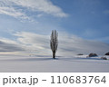 雪原の1本木 110683764
