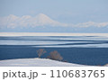 流氷の来る岬 110683765
