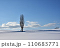 雪原の1本の木 110683771