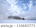 冬の丘の木 110683773
