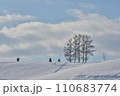 丘の上の木の冬景色 110683774