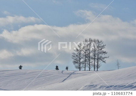 丘の上の木の冬景色 丘の上の木の冬景色 110683774