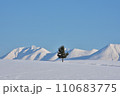 大雪山を望む丘の木 110683775