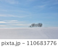 冬の丘の木 110683776
