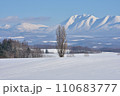 山のふもとの冬景色 110683777