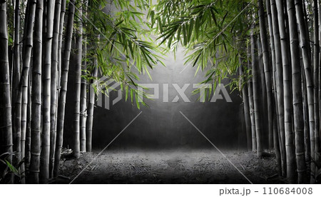 暗い竹林の背景　AI生成画像 110684008