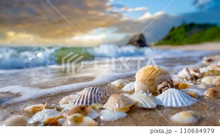 浜辺に打ち上げられた貝殻　AI生成画像 110684979