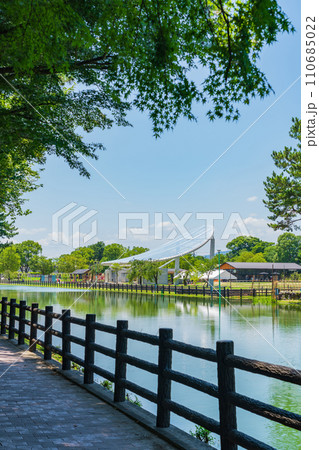 天王川公園、池のほとりの散歩道〈愛知県津島市〉 天王川公園、池のほとりの散歩道〈愛知県津島市〉 110685022