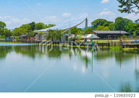 天王川公園、池のほとりの散歩道〈愛知県津島市〉 110685023