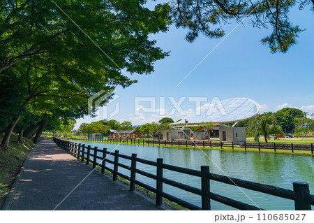天王川公園、池のほとりの散歩道〈愛知県津島市〉 110685027