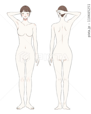 女性の全身イラスト ヌード 美容 女性の全身イラスト ヌード 美容 110685251