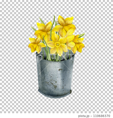 Watercolor yellow daffodils in old metal can vase. Hand drawn spring flowers bouquet with green leaves in vintage bucket for floral shop label, logo design Watercolor yellow daffodils in old metal can vase. Hand drawn spring flowers bouquet with green leaves in vintage bucket for floral shop label, logo design 110686370