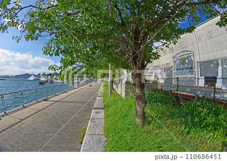 福岡県北九州市門司区にある海沿いのめかり観潮遊歩道 110686451