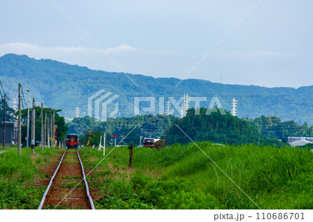 静岡県掛川市細谷　天竜浜名湖鉄道と沿線の風景 110686701