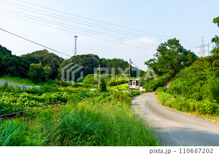 静岡県掛川市幡鎌　天竜浜名湖鉄道と沿線の風景 110687202