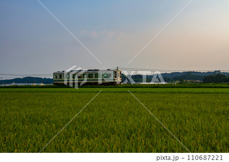 静岡県掛川市細谷　天竜浜名湖鉄道と沿線の風景 110687221