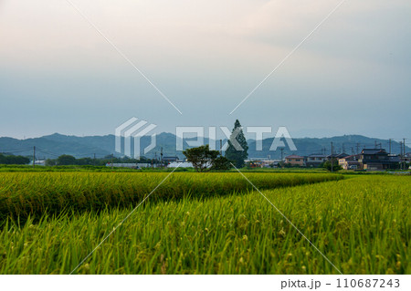 静岡県掛川市細谷 天竜浜名湖鉄道と沿線の風景 静岡県掛川市細谷 天竜浜名湖鉄道と沿線の風景 110687243