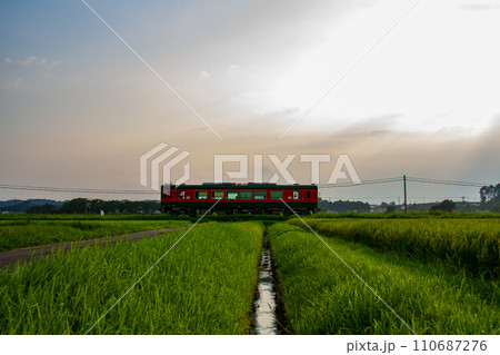静岡県掛川市細谷　天竜浜名湖鉄道と沿線の風景 110687276