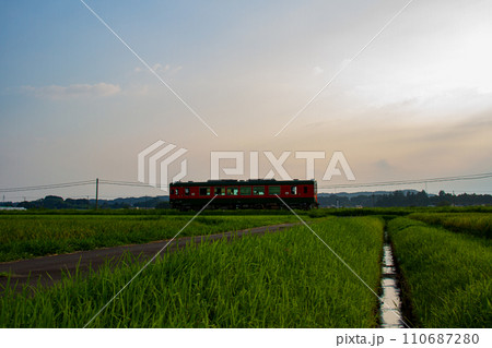 静岡県掛川市細谷　天竜浜名湖鉄道と沿線の風景 110687280