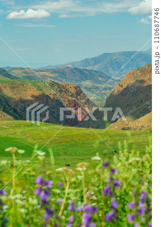Landscape in the mountains of Armenia against a background of spring flowers 110687746