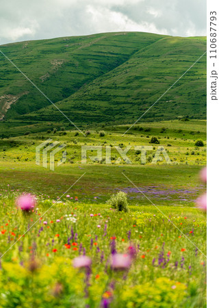 Landscape in the mountains of Armenia against a background of spring flowers 110687793