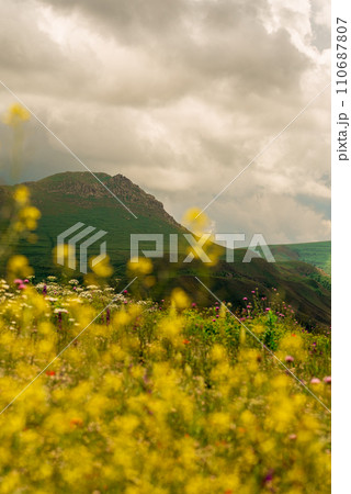 Landscape in the mountains of Armenia against a background of spring flowers 110687807