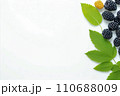 AI-generated content. Botanical border of blackberry berries and leaves on white background 110688009