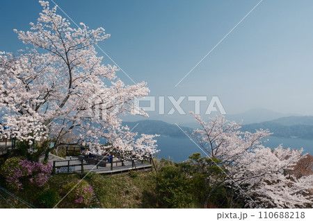 満開の桜、傘松公園 満開の桜、傘松公園 110688218
