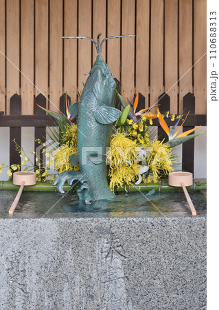 北野天満神社のかない鯉 110688313