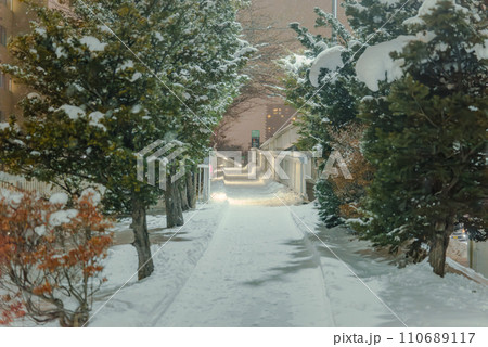 雪の積もった歩道 110689117