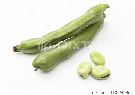 白背景に空豆 110690966