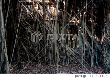 安平樹屋 110691102