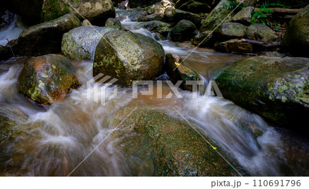 Waterfall is flowing in jungle. Waterfall in green forest. Mountain waterfall. Cascading stream in lush forest. Nature background. Rock or stone at waterfall. Water sustainability. Water conservation. 110691796