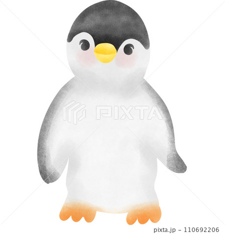 ペンギン ぺんぎん ペンギン 110692206