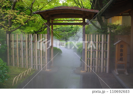 雨中の牡丹園の景色 110692683