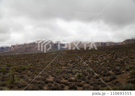 View of landscape red rock canyon national park at nevada,USA. 110693355