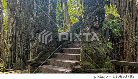 モンキーフォレスト・バリ島 110693798