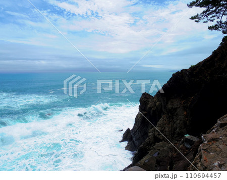 竜王岬より望む太平洋(高知県高知市) 110694457